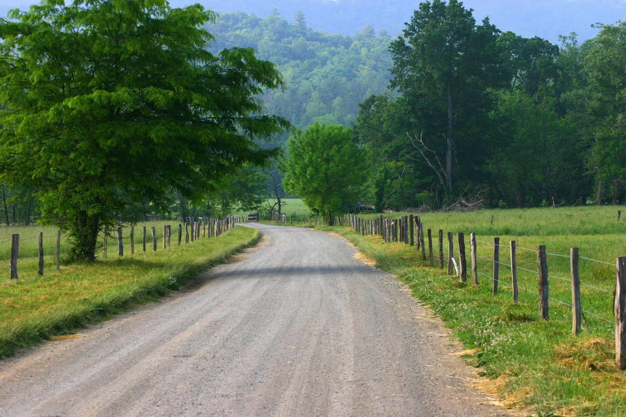 Cades Cove Loop Road in the springtime