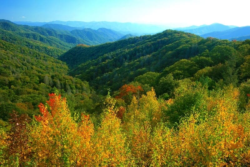 Colorful Smoky Mountains