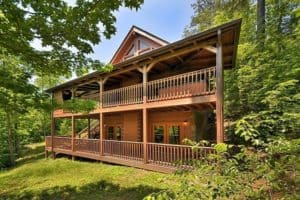 Country Lodge pet friendly cabin rental