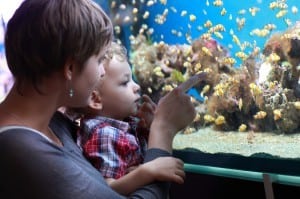Family at an aquarium