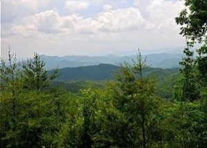 View from Cuddled Up pet friendly cabin in the Smoky Mountains