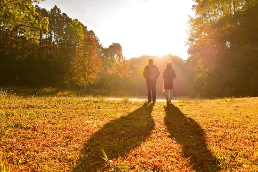 Couple walking through the forest in the fall