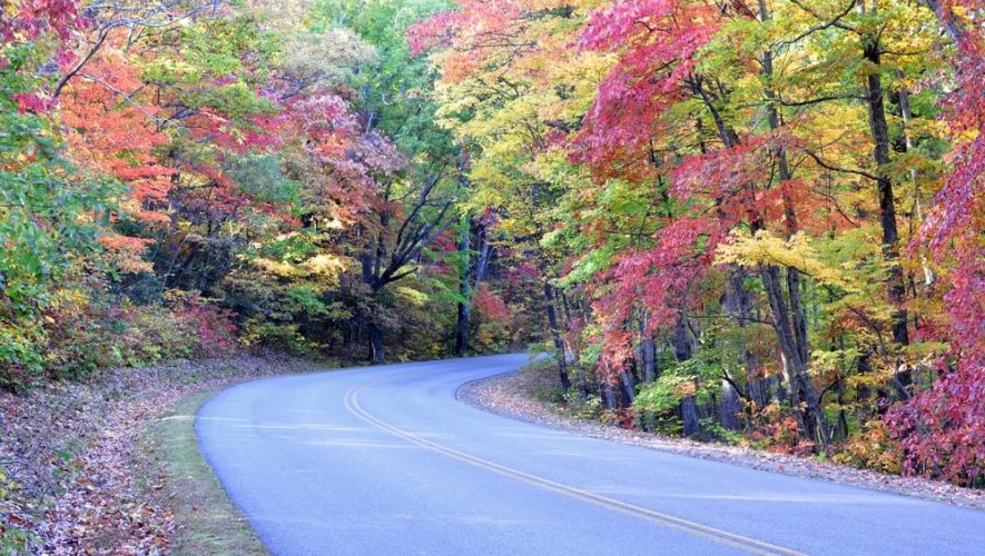 Fall colors lining a road in the Smoky Mountains