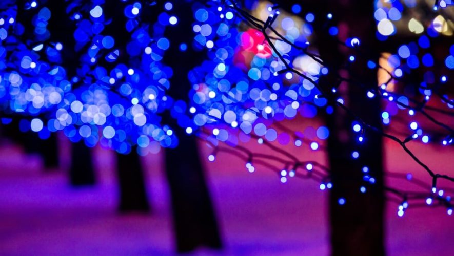 Christmas lights on trees