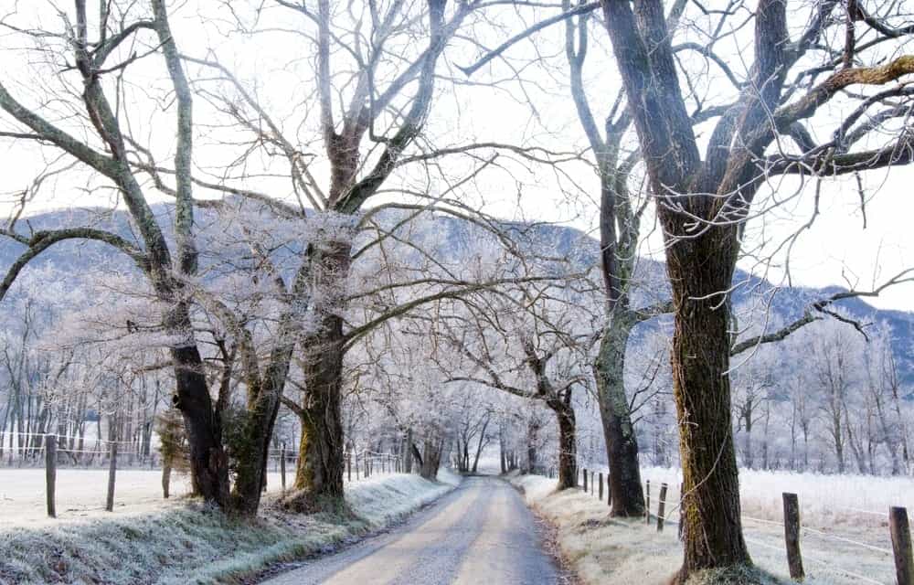 Snow covering the road in Cades Cove