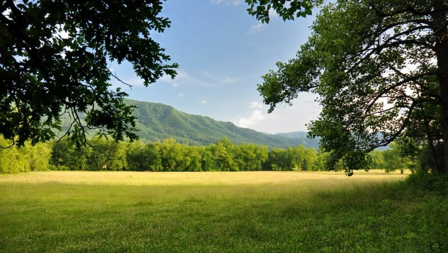 Grassy open field in the Smoky Mountains