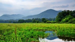 Cades Cove in the Great Smoky Mountains National Park