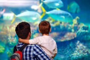 father and son enjoying discounted tickets to Ripley's Aquarium in Gatlinburg