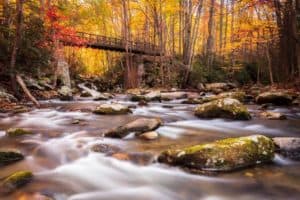 A Smoky Mountain stream during the fall.