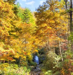 Stunning fall colors near the Pigeon River in the Smoky Mountains.