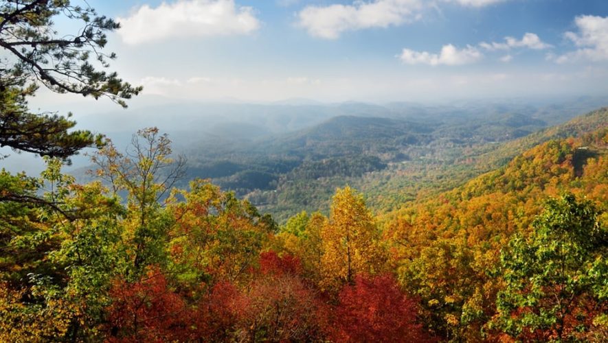 Trees with beautiful fall colors near Pigeon Forge in the Smoky Mountains.