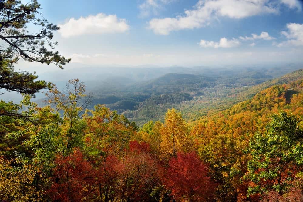 Trees with beautiful fall colors near Pigeon Forge in the Smoky Mountains.