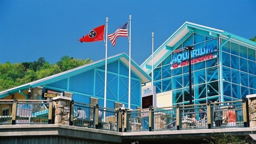 Ripley's Aquarium of the Smokies in Gatlinburg TN.