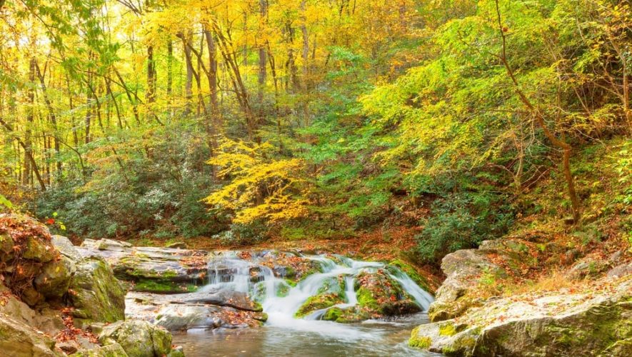 Fall colors surround Smoky Mountain stream