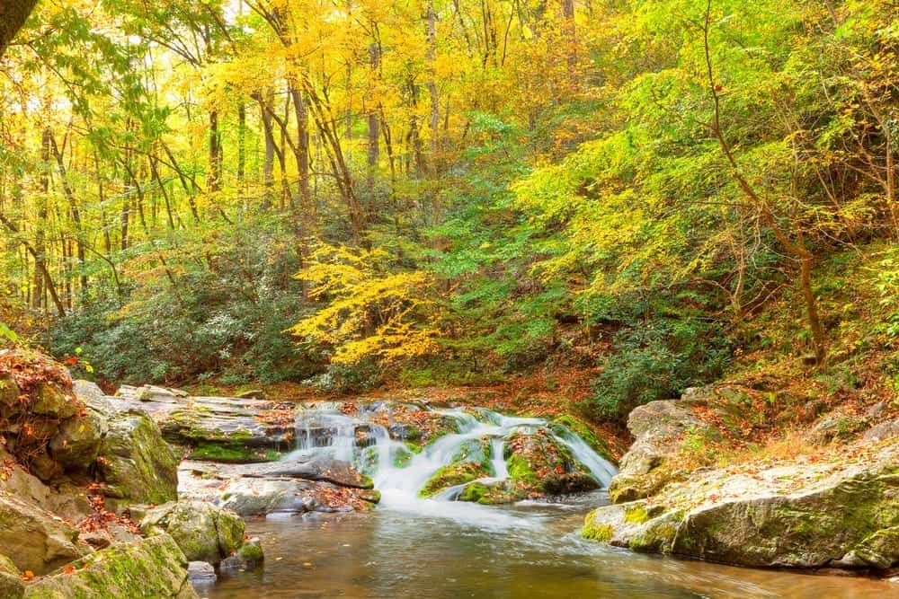 Fall colors surround Smoky Mountain stream