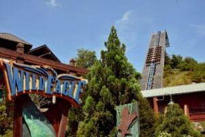 Wild Eagle Rollercoaster at Dollywood