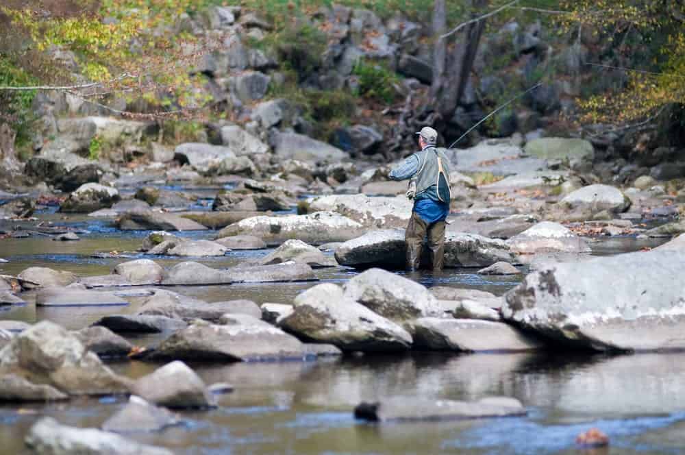 Everything You Need to Know About Fishing in the Great Smoky Mountains National Park