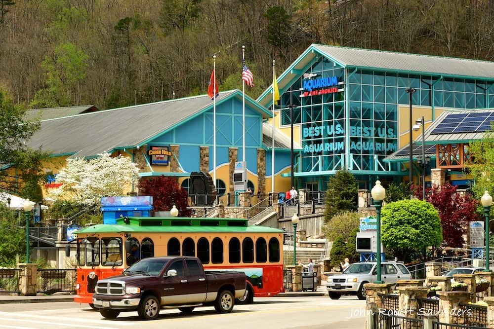 6 of the Best Things to Do in Gatlinburg with Your Family